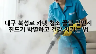 대구 북성로 카펫 청소 꿀팁🍯! 집먼지 진드기 박멸하고 건강 지키는 법