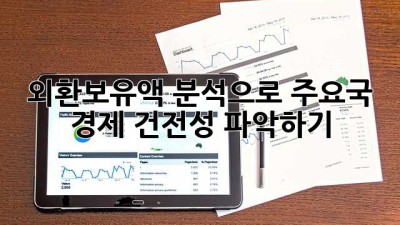 외환보유액 분석으로 주요국 경제 건전성 파악하기