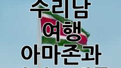 숨겨진 보석💎 수리남 여행: 아마존과 카리브해를 품에! 🌴