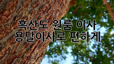 흑산도 원룸 이사? 용달이사로 편하게!